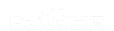 ��ƱAI�Ż�